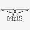 Mister B